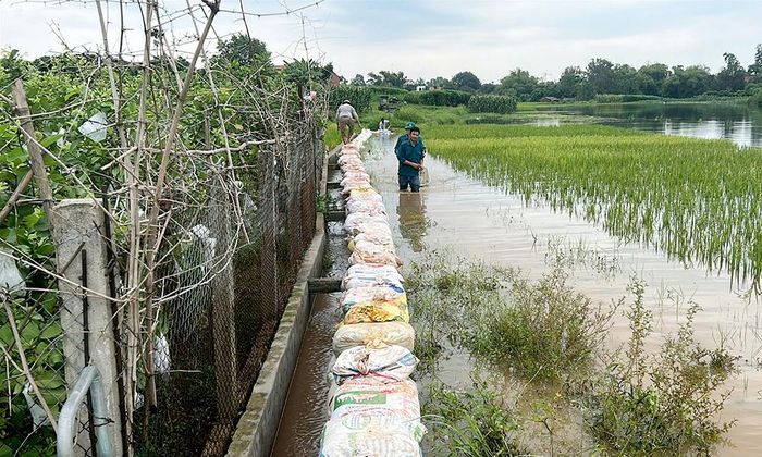  Hệ thống bờ bao ngăn nước hoàn thành góp phần bảo vệ các khu vực trồng cây ăn quả của xã Phúc Hòa. 