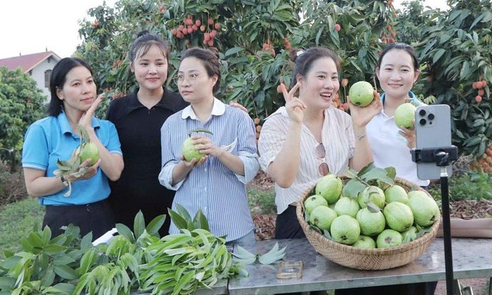 Nông dân phường Phượng Sơn livestream bán nông sản trên mạng xã hội.