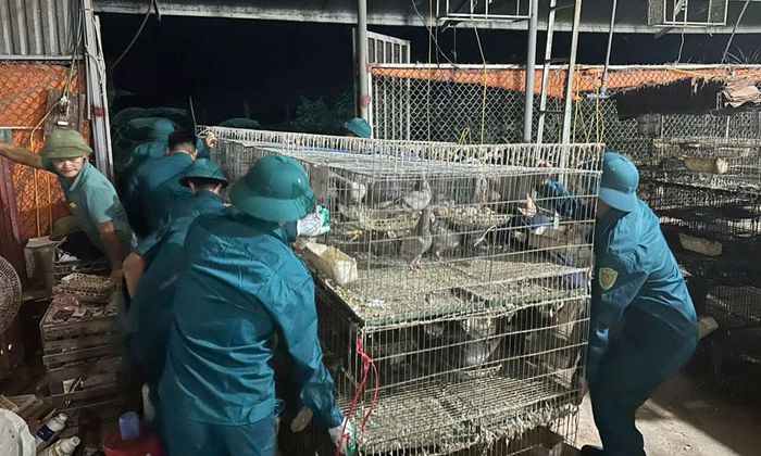 Các lực lượng chức năng xã Kép hỗ trợ một hộ dân bị ảnh hưởng do sạt lở đất. 