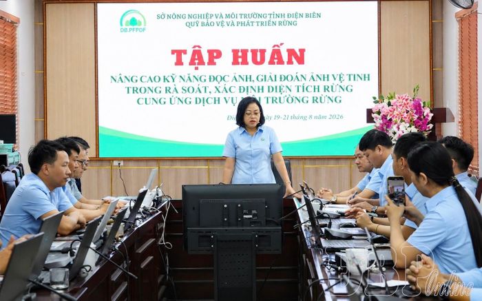 Bà Mai Hương: "Khi chính sách được thực thi hiệu quả, nguồn kinh phí từ DVMTR sẽ tạo động lực thúc đẩy phát triển kinh tế rừng".
