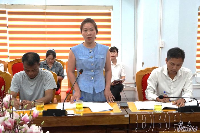 Đại diện Công ty Cổ phần Truyền thông HVL Media báo cáo tiến độ chuẩn bị các hoạt động.