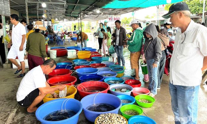 Du khách mua hải sản tại chợ Biển Tân Thành