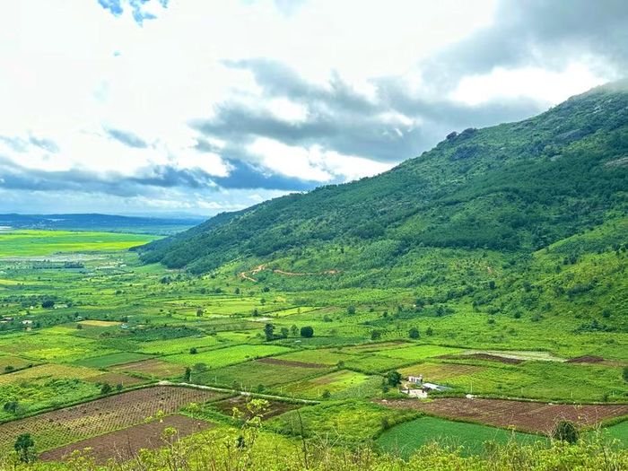  Những mảng xanh của cây cối, nương rẫy đan xen trên địa hình núi lửa Chư Đang Ya. Ảnh: Minh Chí 