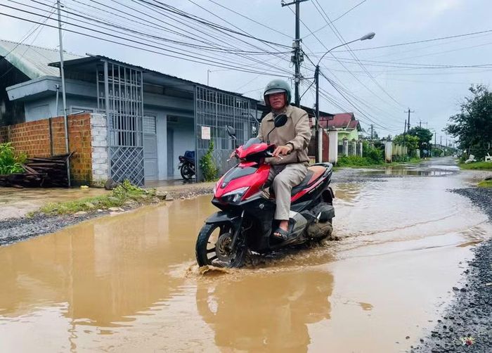  Đường Hàn Thuyên xuất hiện nhiều hố sâu đọng đầy nước mưa. Ảnh: N.T 