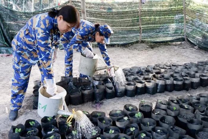 Cán bộ, hội viên phụ nữ chăm sóc cây.