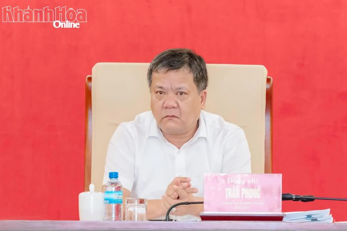 Đồng chí Trần Phong phát biểu tại hội nghị.