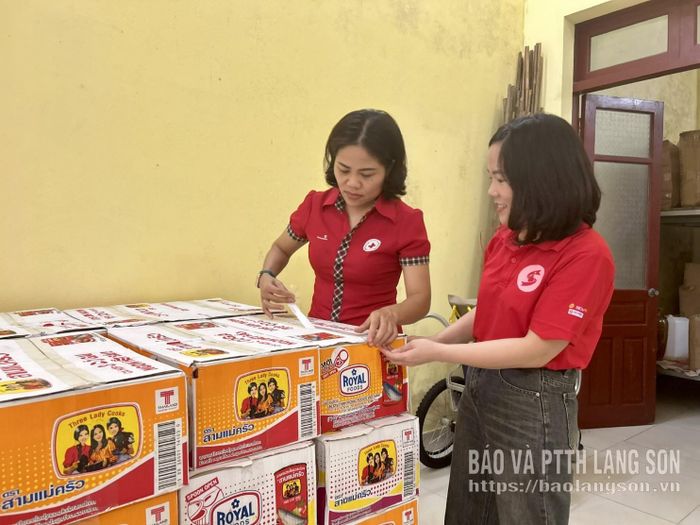 Lãnh đạo và cán bộ Hội Chữ thập đỏ tỉnh tiếp nhận hàng hỗ trợ