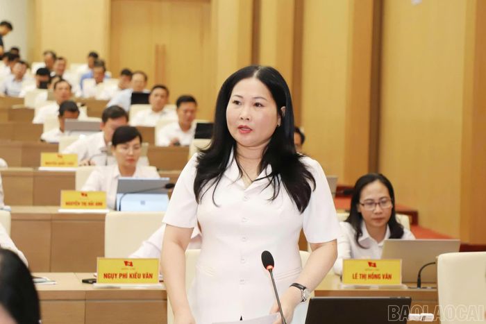 Đồng chí Vũ Thị Hiền Hạnh - Phó Chủ tịch UBND tỉnh phát biểu tham luận.