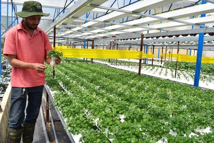 Chuỗi liên kết hoạt động ổn định nhờ căn cứ vào nhu cầu thị trường