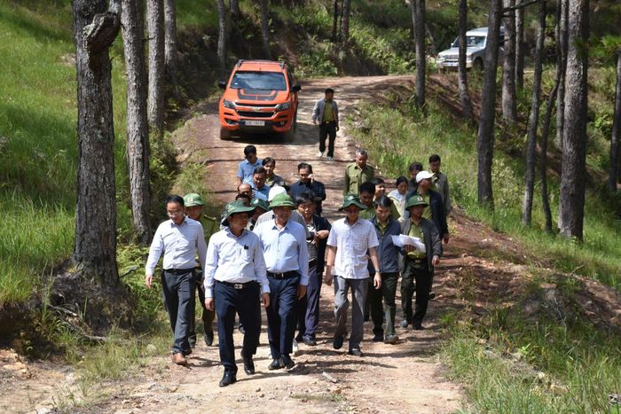 Lãnh đạo UBND tỉnh Lâm Đồng kiểm tra thực tế khu vực xây dựng trái phép trên đất lâm nghiệp tại xã Lạc Dương cuối tháng 7/2026