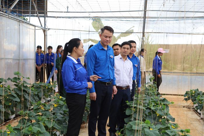 Đoàn công tác tham quan mô hình thanh niên khởi nghiệp của thanh niên nông thôn tại xã Đơn Dương