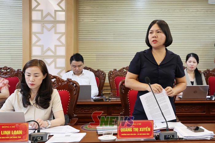 Lãnh đạo Ban Văn hóa - Xã hội phát biểu tại phiên họp.