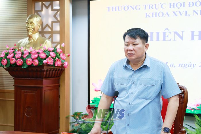 Đồng chí Phó Bí thư Thường trực Tỉnh ủy, Chủ tịch HĐND tỉnh, phát biểu tại phiên họp.