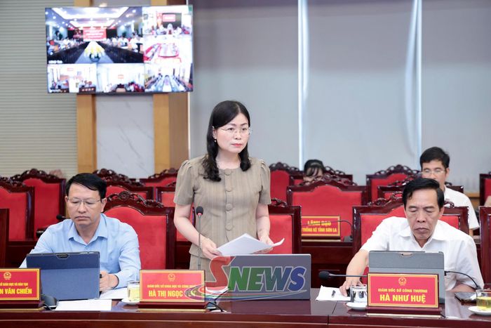 Đồng chí Giám đốc Sở Khoa học và Công nghệ phát biểu tại phiên họp.