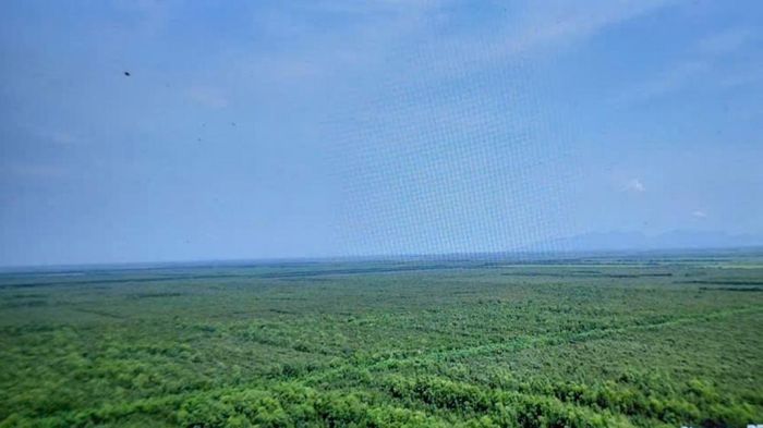 Công ty TNHH Nông Lâm Nghiệp Kiên Giang đóng góp tích cực vào mục tiêu phát triển kinh tế xanh, bền vững của địa phương. (Ảnh: Công ty TNHH Nông Lâm Nghiệp Kiên Giang)