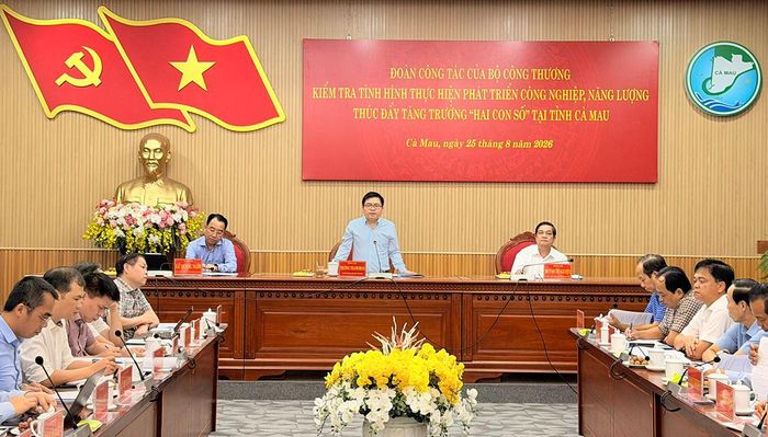 Thứ trưởng Bộ Công thương Trương Thanh Hoài phát biểu kết luận tại buổi làm việc.