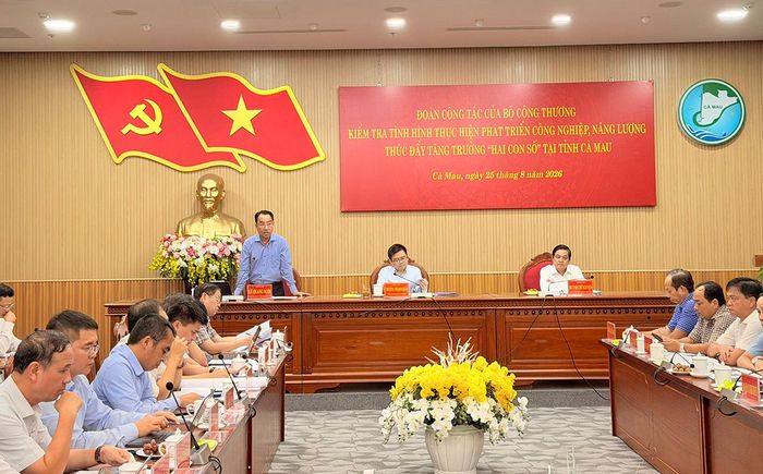 Chủ tịch UBND tỉnh Cà Mau - Lữ Văn Ngời phát biểu tại buổi làm việc.