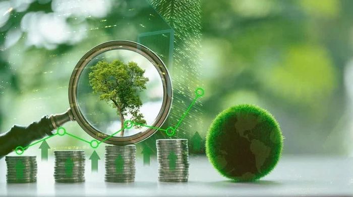 Nhu cầu vốn cho chuyển đổi xanh của Việt Nam lên tới hàng trăm tỷ USD. Ảnh: SHUTTERSTOCK