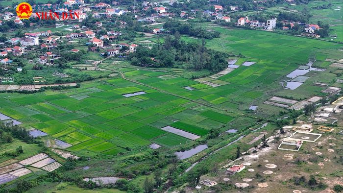 Trên đảo Vĩnh Thực, nhiều diện tích đất được trồng lúa, cây ăn quả...