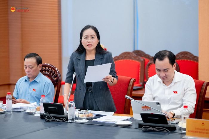 ĐBQH hoạt động chuyên trách tại Ủy ban Văn hóa và Xã hội Hồ Thị Kim Ngân phát biểu
