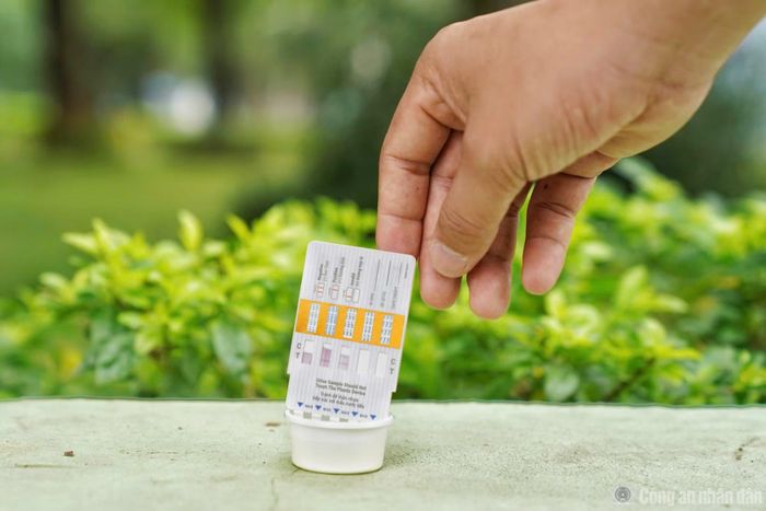 Kết quả cho ra chỉ sau ít phút.