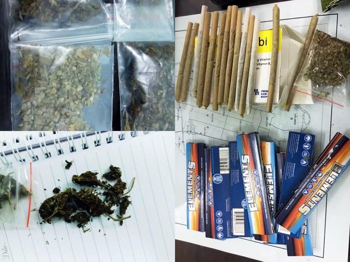 Ma túy dạng "cỏ Mỹ" được ngụy trang, đóng gói trong các túi nhỏ và cuộn thành điếu thuốc.