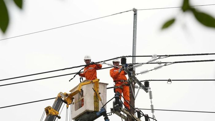 Cắt tỉa nhánh cây để đảm bảo hành lang an toàn lưới điện