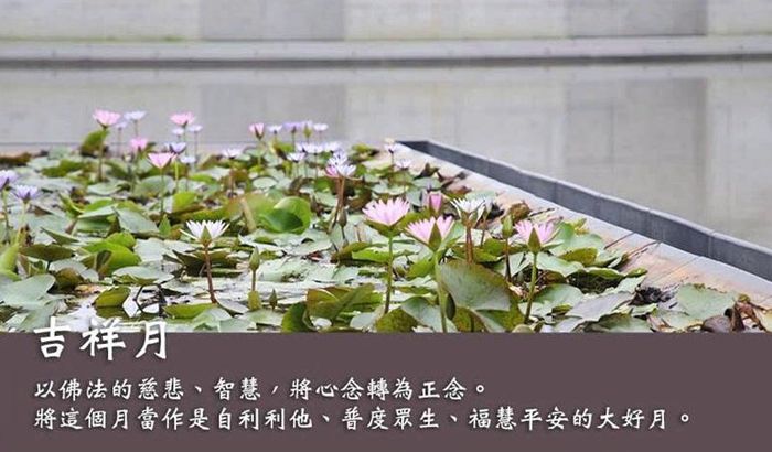 Ảnh sưu tầm