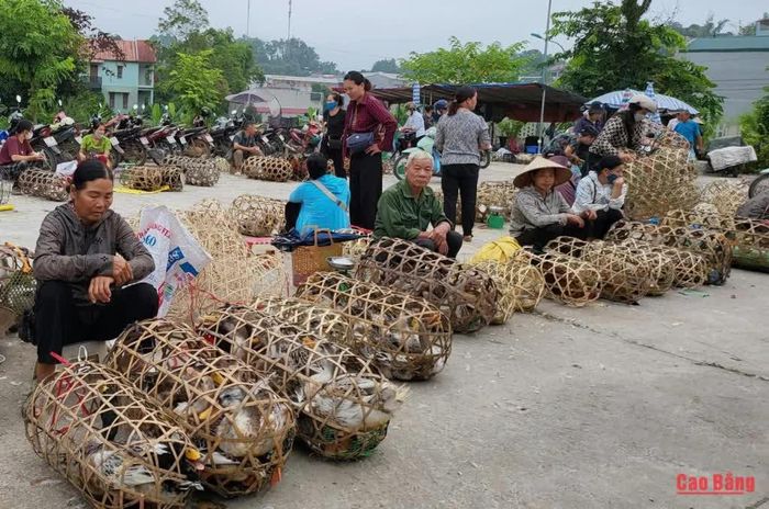 Vịt được bày bán tại chợ phiên ngày Rằm tháng Bảy.