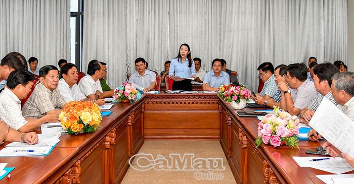Bà Hồ Thị Hồng Lý, Phó Chi cục trưởng Chi cục Quản lý đất đai (Sở Nông nghiệp và Môi trường), phát biểu ý kiến tại cuộc họp.