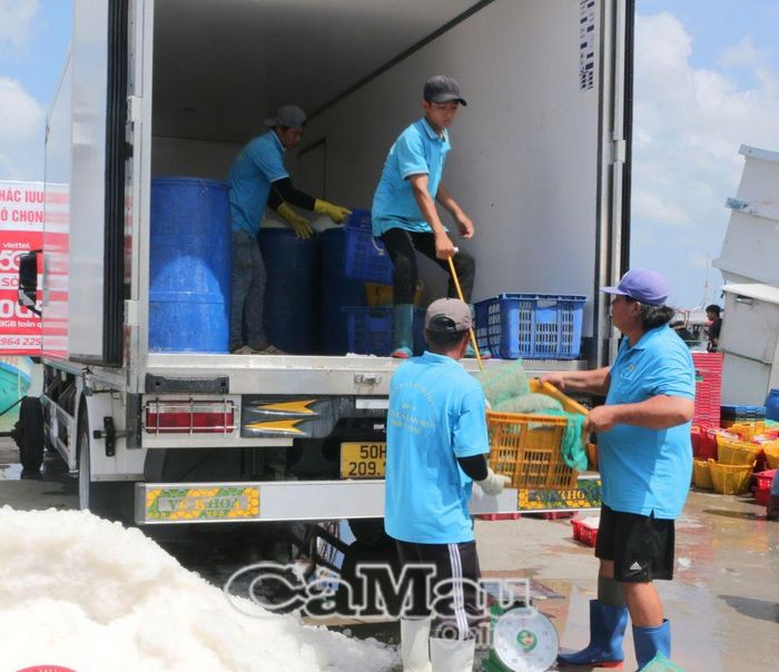 Phương tiện vận tải hàng thuỷ sản hoạt động tại Cảng cá Gành Hào.