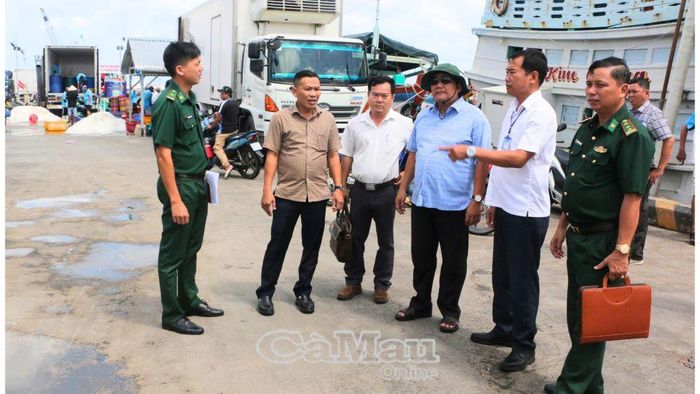 Đoàn kiểm tra hệ thống hạ tầng phục vụ cập cảng, bốc dỡ và thu mua thuỷ sản tại Gành Hào.
