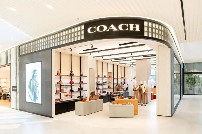 Coach khai thác dữ liệu người dùng để liên tục phát triển những thiết kế có tính nhận diện
