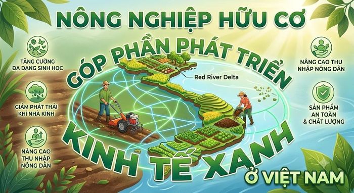 Sơ đồ minh hoạ