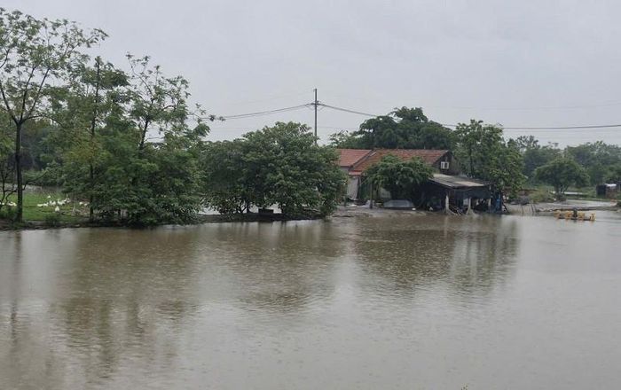 Chủ động tiêu úng, thoát nước là biện pháp quan trọng góp phần bảo vệ thành quả sản xuất của người dân xã Phú Xuyên trong mùa mưa bão. Ảnh: PV