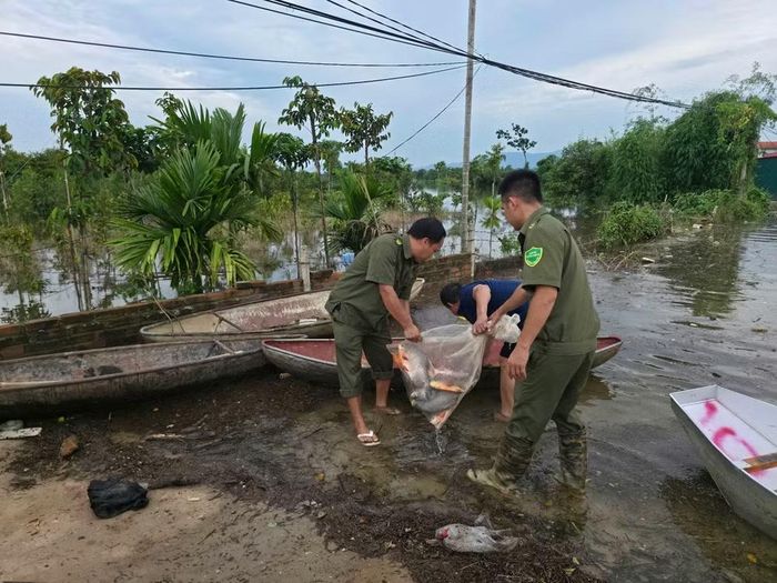 Công an xã và lực lượng an ninh cơ sở hỗ trợ nhân dân