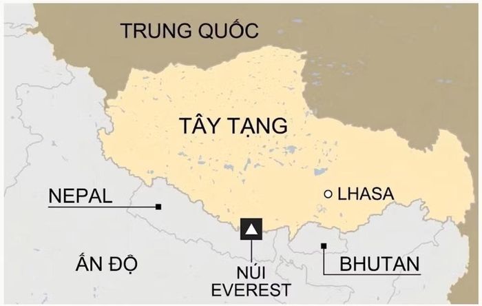 Tổ chức này đang huy động các nguồn hàng cứu trợ khẩn cấp gồm chăn, bộ sơ cứu, cáng và túi đựng thi thể.