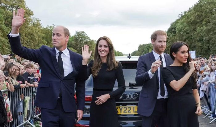 Tuy nhiên, Harry kể trong Spare rằng William phản ứng lạnh nhạt khi ông giới thiệu Meghan Markle vào năm 2016. Harry cho biết William khuyên ông không nên vội vàng trong mối quan hệ với nữ diễn viên người Mỹ đã ly hôn và lớn hơn ông 3 tuổi