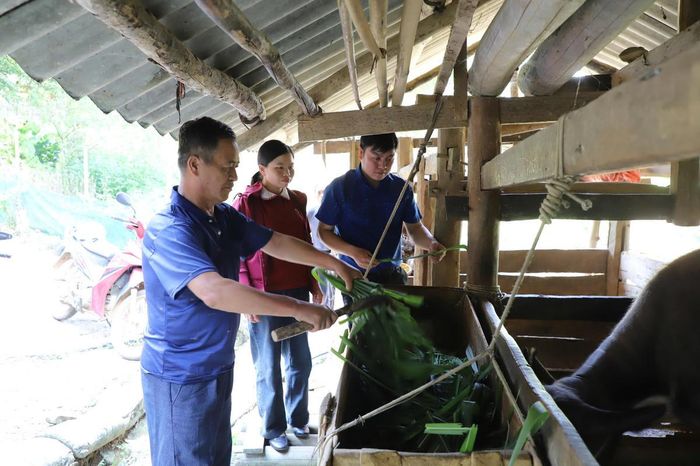 Không chỉ tích cực vận động bà con, ông Thào Vạn Chính còn chăm lo phát triển kinh tế gia đình.