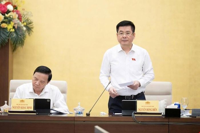 Phó Chủ tịch Quốc hội Nguyễn Hồng Diên phát biểu kết luận phiên thảo luận (Ảnh: Quochoi.vn)