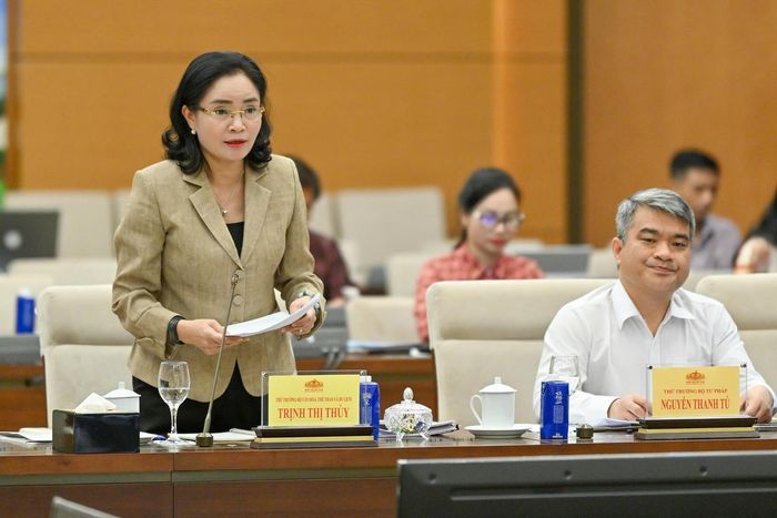 Thứ trưởng Bộ Văn hoá, Thể thao và Du lịch Trịnh Thị Thuỷ báo cáo tại phiên họp (Ảnh: Thuỷ Nguyên)