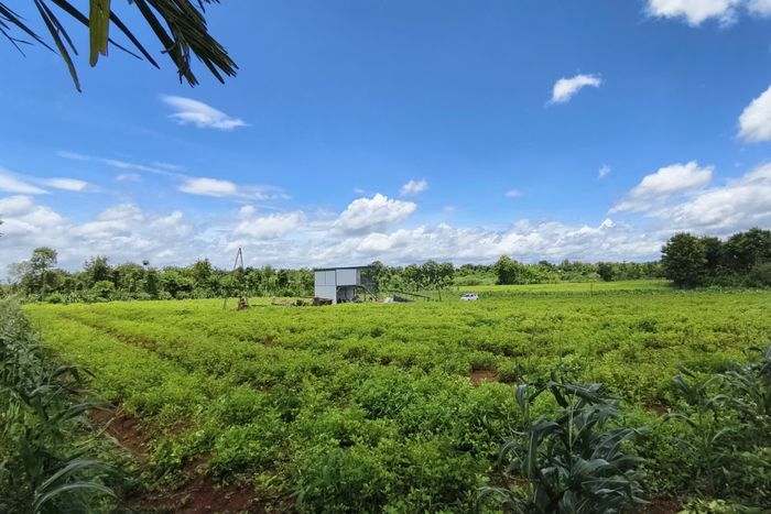 Mảnh đất 12.000 m2 Linh mua ở Đắk Lắk. 