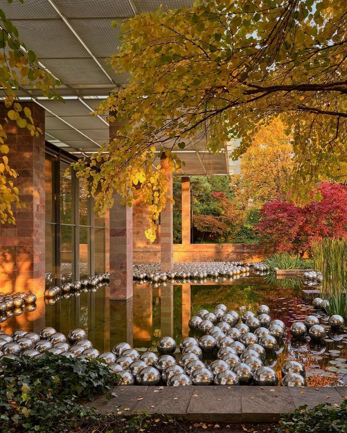 Narcissus Garden (tạm dịch: Khu vườn ái kỷ) lần đầu xuất hiện năm 1966 bên ngoài khuôn khổ chính thức của Venice Biennale và trở thành một trong những tác phẩm mang tính biểu tượng của Kusama. Theo MoMA, phiên bản ban đầu gồm khoảng 1.500 quả cầu bạc bằng nhựa được trải trên bãi cỏ trước gian triển lãm Italy, phản chiếu cảnh vật và hình ảnh của chính người xem. Kusama mặc kimono vàng, đứng giữa tác phẩm và đề nghị bán từng quả cầu với giá 1.200 lire (khoảng 2 USD khi đó), bên cạnh tấm biển mang thông điệp “Your Narcissism for Sale” (tạm dịch: Sự ái kỷ của bạn đang được bán). Hành động này biến tác phẩm thành lời bình luận về sự ái kỷ, giá trị của nghệ thuật và quá trình thương mại hóa trong thế giới nghệ thuật. Ảnh: @mark_niedermann.