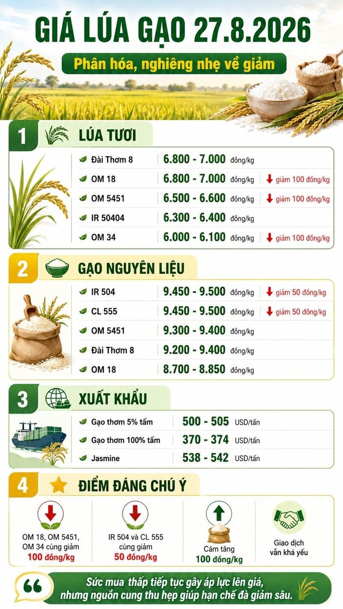 Giá thực tế có thể chênh lệch theo khu vực, chất lượng hàng và thời điểm giao dịch.
