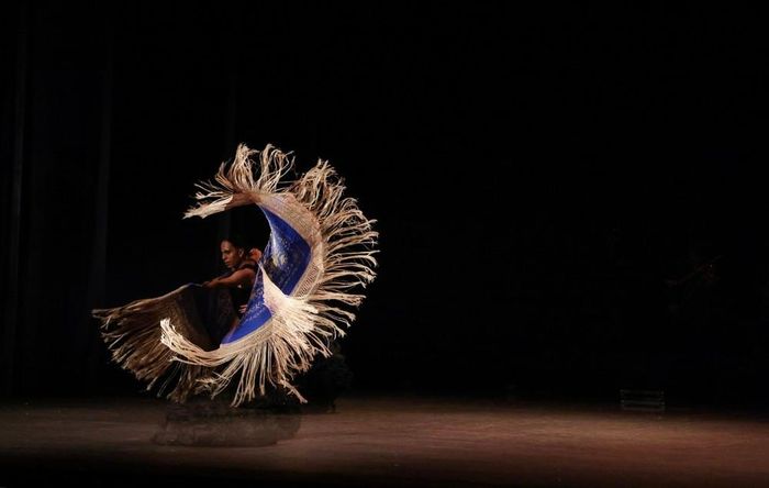 Nghệ sĩ biểu diễn tại đêm bế mạc Lễ hội Flamenco quốc tế tại thủ đô Mexico City, Mexico. Ảnh: THX/TTXVN phát