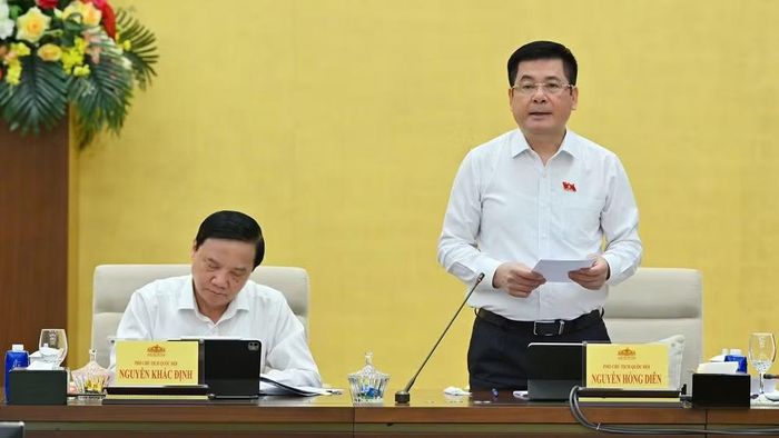 Phó Chủ tịch Quốc hội Nguyễn Hồng Diên phát biểu tại phiên họp. (Ảnh: THỦY NGUYÊN)