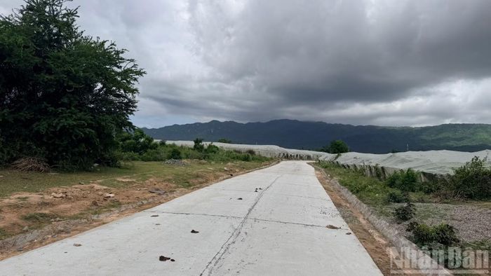 Đường bê-tông từ đất cầu Quê Hương đến xóm 3 (xã Tuy Phong) hoàn thành trải thảm xi-măng. (Ảnh: THANH HẢI)