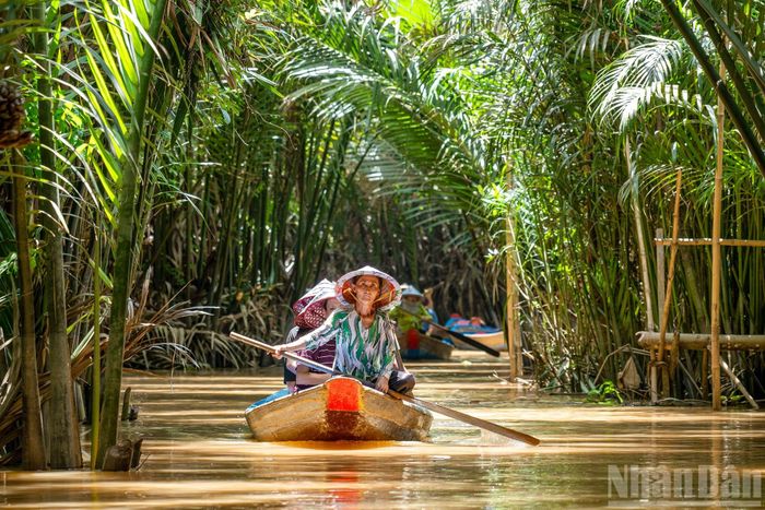 Một trong những hoạt động thú vị và đậm chất miền Tây khi đến cù lao Thới Sơn chính là trải nghiệm ngồi xuồng ba lá len lỏi trên rạch Bà Ngoạn.
