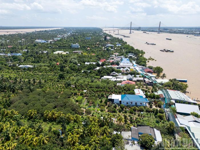  Nằm giữa dòng sông Tiền hiền hòa, cù lao Thới Sơn từ lâu trở thành điểm đến du lịch sinh thái﻿ hấp dẫn, mang đậm bản sắc miền Tây sông nước. 