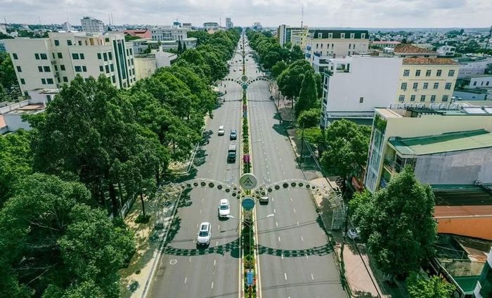 Đường Nguyễn Tất Thành, một trong những tuyến đường đi bộ trong chương trình "Cùng Việt Nam tiến bước năm 2026 tại Đắk Lắk. (Ảnh: CTV)